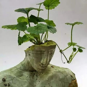 Meet your Posher, Fatma